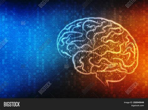 Human Brain 2d Image & Photo (Free Trial) | Bigstock