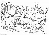Collection Of Pond Coloring Pages  Free Printable sketch template