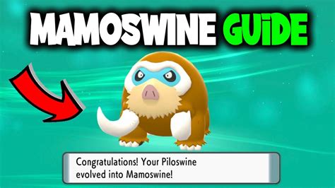 HOW TO EVOLVE PILOSWINE INTO MAMOSWINE ON POKEMON BRILLIANT DIAMOND AND ...