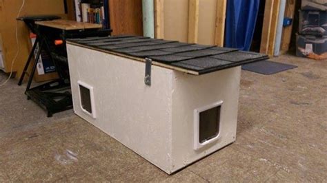 Tips on Convincing Feral Cats to Take Shelter | Feral cats, Outdoor cat ...