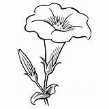 Dibujos De Flores Grandes Para Colorear Printable Flower Coloring  sketch template
