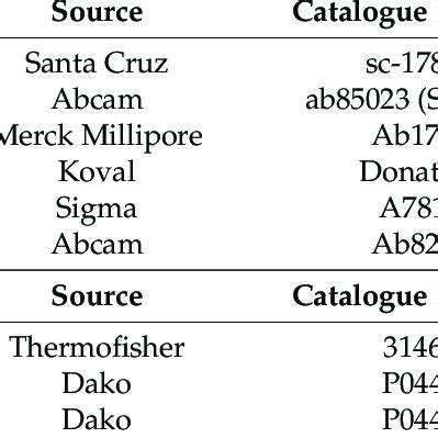 Primary and secondary antibodies used in the immunoblotting protocol. | Download Scientific Diagram