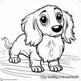 Dachshund Coloring Pages  Free & Printable sketch template