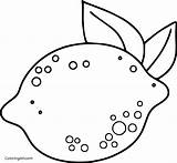 Lemon Coloring Pages 13 Free Printables  ColoringAll sketch template