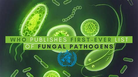 WHO Publishes First-Ever List Of Fungal Pathogens: What You Should Know - Boldsky.com