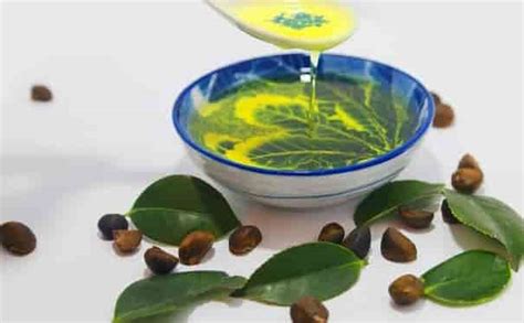 How to get rid of cold sores? Treat and heal faster with tea tree oil