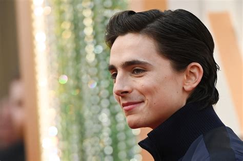 Timothée Chalamet's Oscars 2020 red carpet outfit divides fans