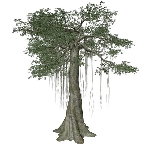 Kapok Tree #04 - 3D Model by AntonioKowatsch