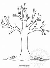 Free Printable Fall Tree Coloring Pages  Templates sketch template
