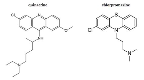 Chlorpromazine: a new mechanism of action