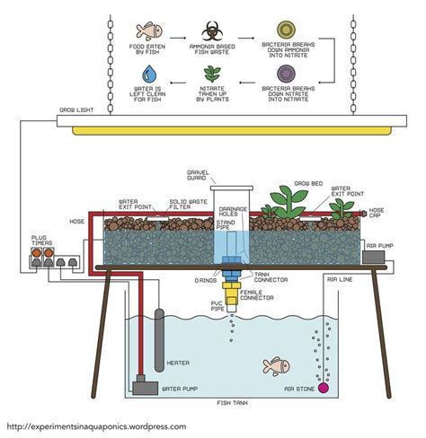 How To Build A Simple Aquaponics System | Aquaponics system, Aquaponics, Hydroponic gardening