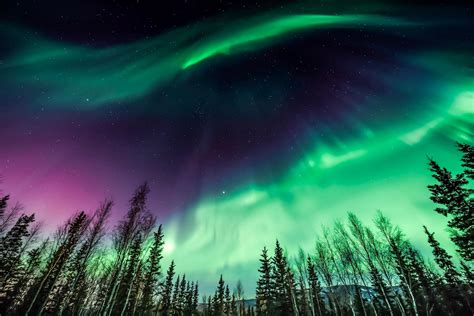 Your Guide to Seeing the Northern Lights in Alaska | Travel | Smithsonian