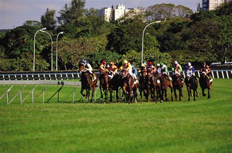 Horse Racing in South Africa