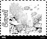 Drawing Underwater Coral Reef Sketch Coloring Page sketch template