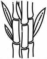 Sugarcane coloring Page  ColouringPages sketch template