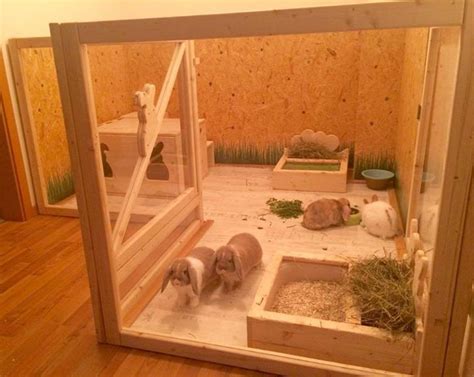 Manor pet housing for the hay rack and litter box. Indoor rabbits still ...