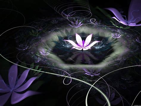 Lotus, 3d, abstract, dark, HD wallpaper | Peakpx