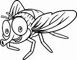 Fly Coloring Pages  Cool sketch template