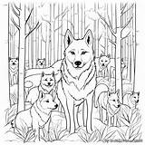 Unleash Your Inner Artist With Adult Coloring Pages Of Wolves sketch template