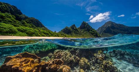 Coral Reef Alliance - Saving the World’s Coral Reefs