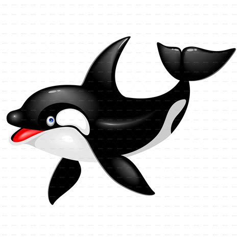 Carton Killer Whale - ClipArt Best