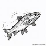 Trout Coloring Pages  Free & Printable sketch template