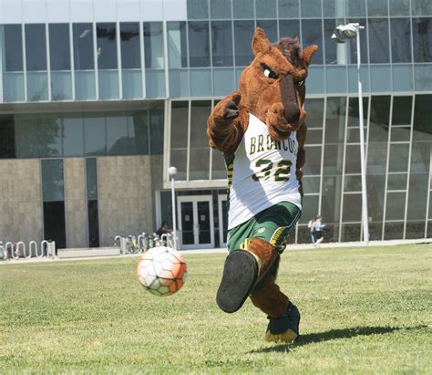 Becoming Billy Bronco: Your friendly Neigh-borhood mascot - The Poly Post