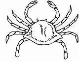 Free Printable Crab Coloring Pages For Kids  Animal Place sketch template