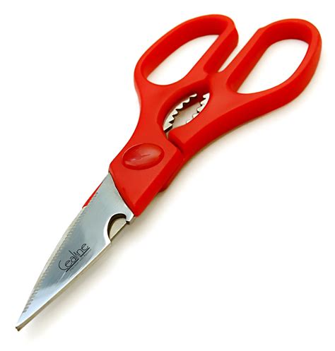 Plastic Handle Multipurpose Scissor, Size: 9 Inch, Rs 150 /piece | ID ...