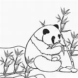 Panda Is Eating Bamboo sketch template
