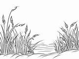 Fun Grass Coloring Page  sketch template