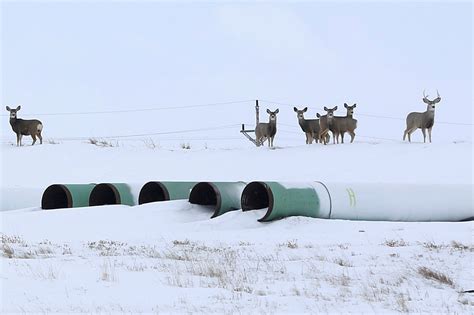 Keystone XL Pipeline - The New York Times