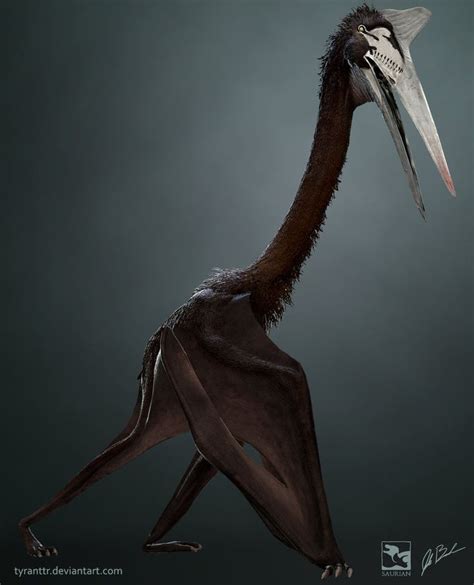 Quetzalcoatlus Sp. - Saurian by LittleBaardo on DeviantArt | Prehistoric animals, Prehistoric ...