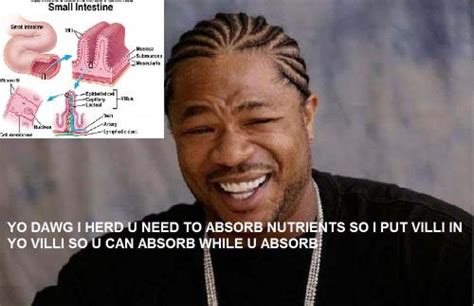 xzibit meme on Tumblr