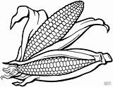 Maize Coloring Pages  ColoringBay sketch template
