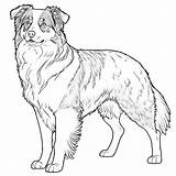 Coloring Pages Dog Breeds sketch template