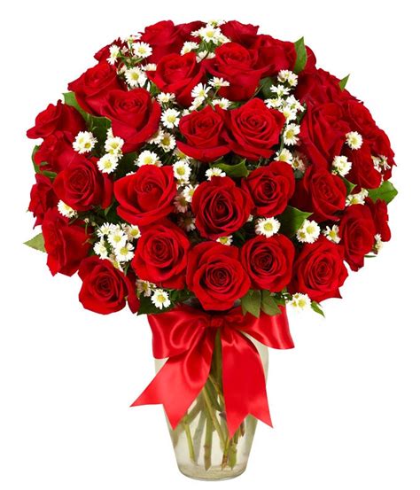 3 Dozen Roses - Red - FlowerOrder.com