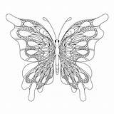 Butterfly Coloring Page For adults Antistress In Zentangle Style  sketch template