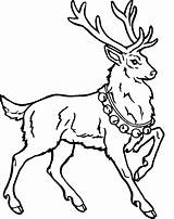 Free Printable Reindeer Coloring Pages For Kids sketch template