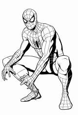 Spiderman Ready For Battle  Book And Comic Coloring Pages sketch template