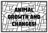 ANIMAL GROWTH AND CHANGES Kindergarten Science Coloring Pages By  sketch template