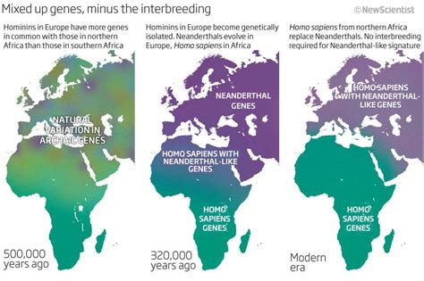 neanderthal map dna humans - Google Search | History nerd, Neanderthal ...