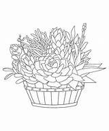 Premium Vector  Hand Drawn Line Art Succulents With Half Wine Barrel sketch template
