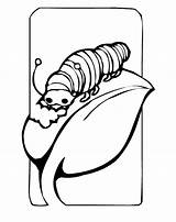 Free Printable Caterpillar Coloring Pages For Kids sketch template