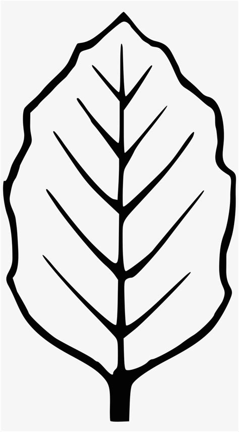 Wunderbar Svg Vorlagen Zeitgenössisch - Leaf Outline Transparent PNG - 1974x3470 - Free Download ...