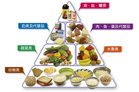 卫生防护中心 - 健康饮食金字塔 均衡营养好体格