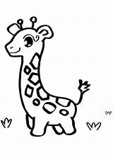 Printable Easy To Draw And Color Baby Giraffe Coloring Pages  Print sketch template