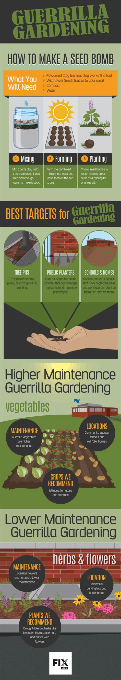 Guerrilla Gardening #infographic ~ Visualistan