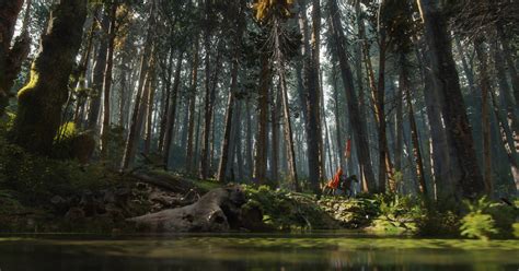 A Stunning Forest Scene Made in Blender