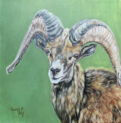 Desert Bighorn Sheep 2 Painting by Queen Gardner - Fine Art America